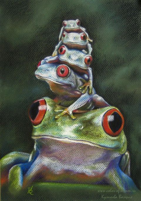 семья лягушей