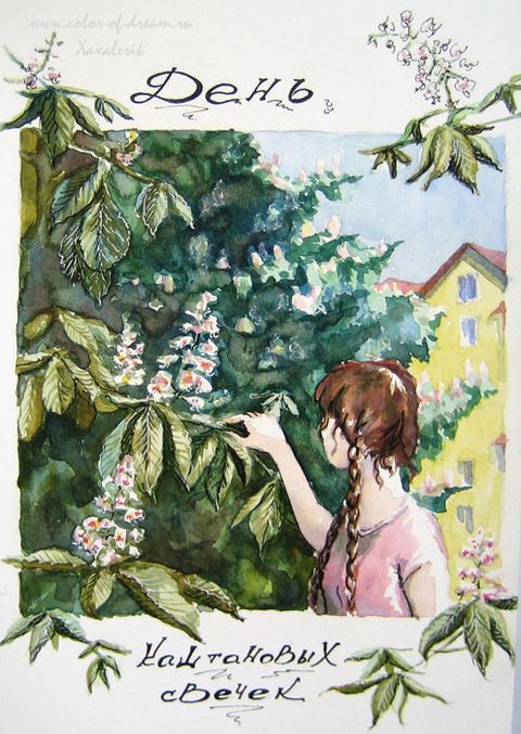 День каштановых свечек