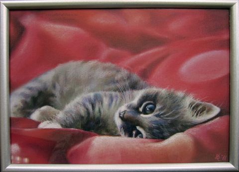 Котик на красном