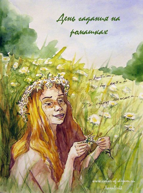 День гадания на ромашках