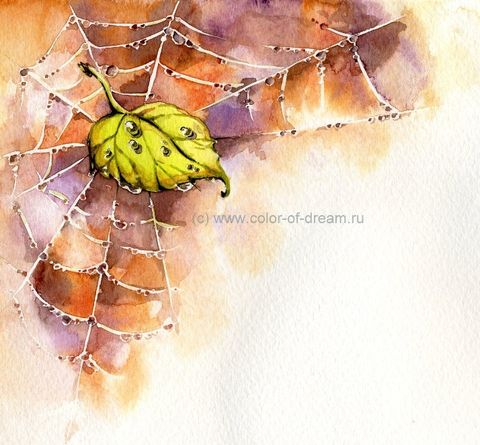 Сентябрь в паутинке