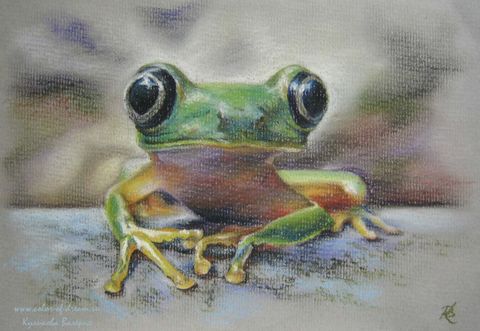 Лягух-лупоглаз