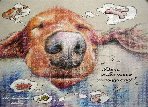 День собачьего счастья