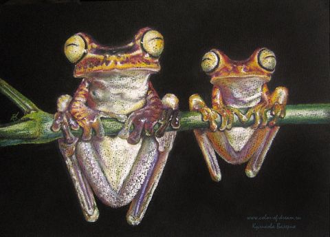 готичные квакши