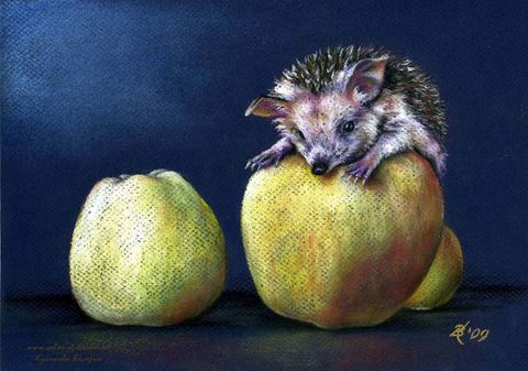 Ёжик и яблоки