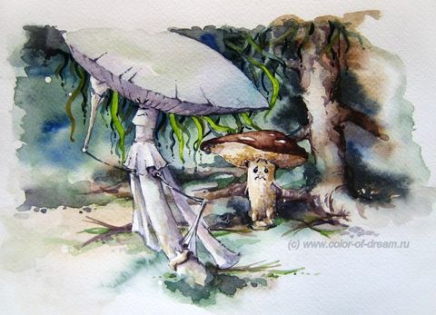 Поганка и Масленок