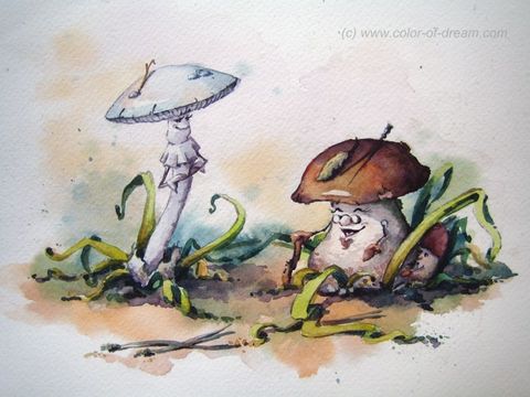 Поганка и Боровичок