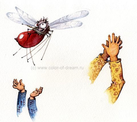 Почему не спит комар?