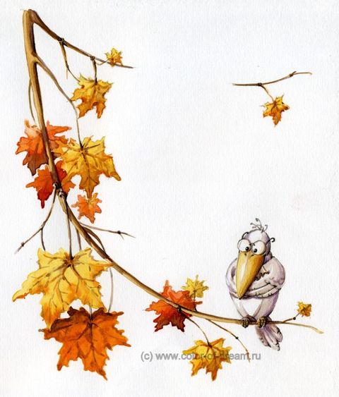 Белая ворона